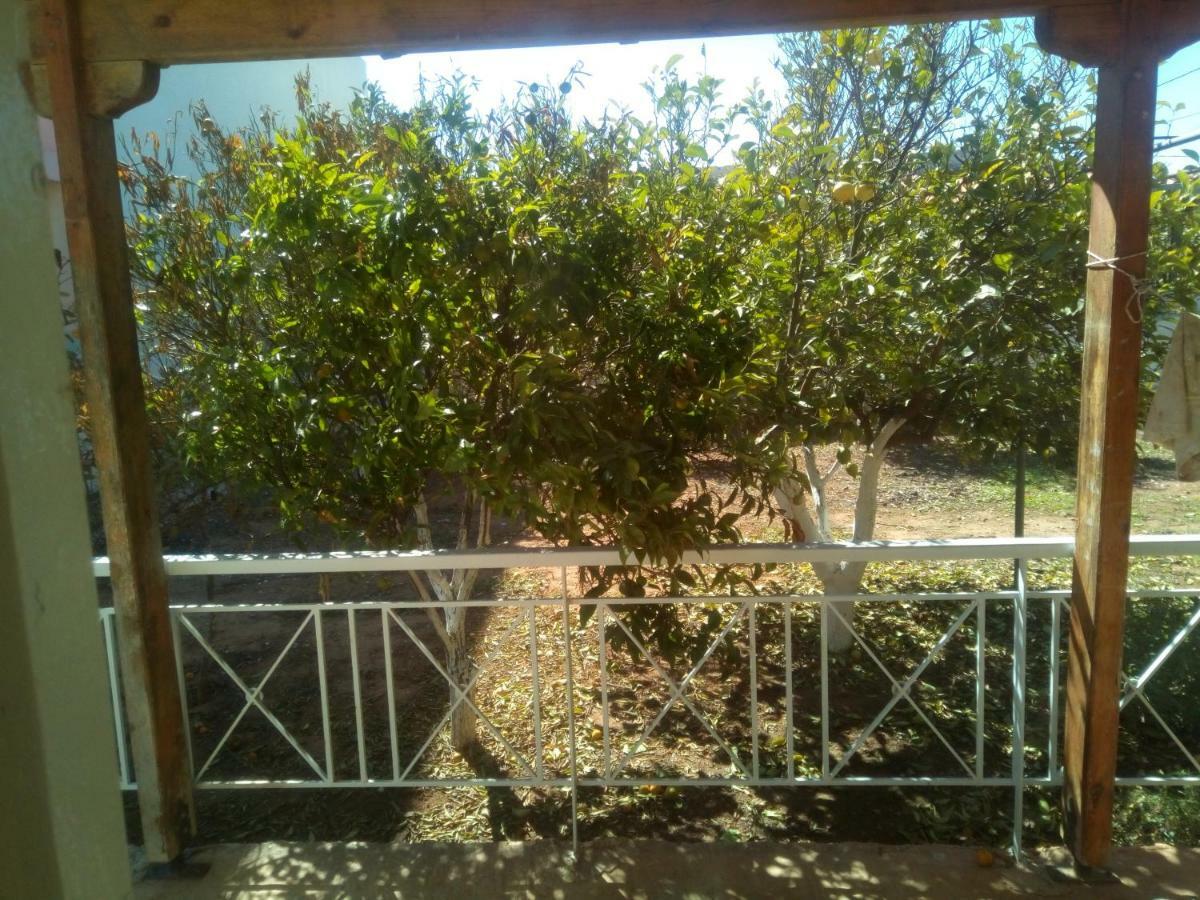 Vangelis House Near Athens Airport Artemida (Attica) Exterior foto