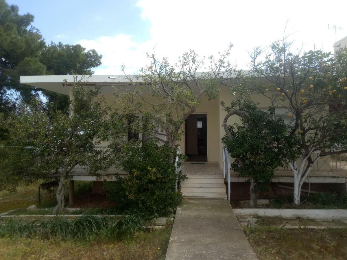 Vangelis House Near Athens Airport Artemida (Attica) Exterior foto